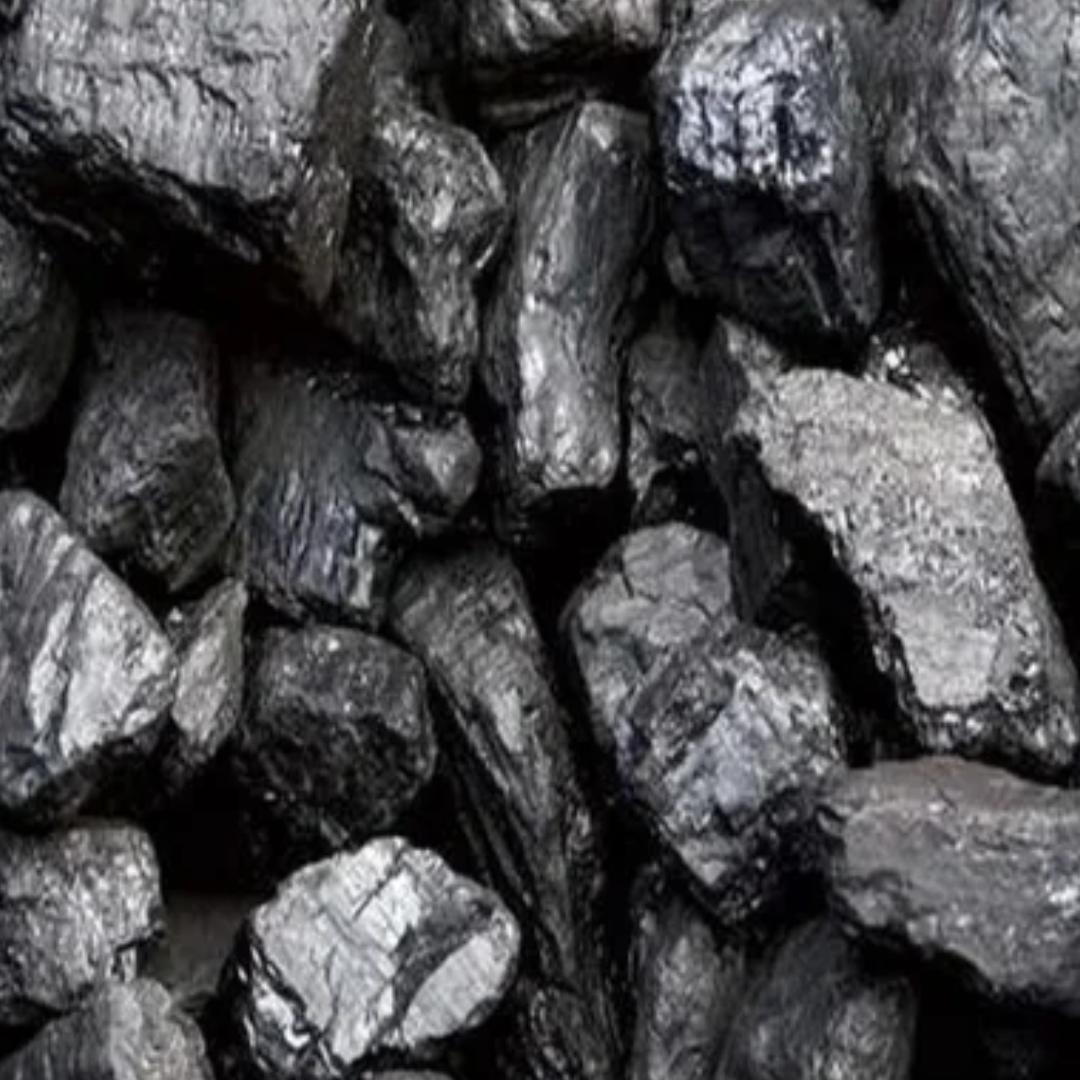Black Lignite Coal